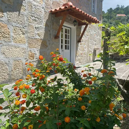 Quinta Da Cavada - Casa Da Tertulia Κατάλυμα σε φάρμα Vouzela