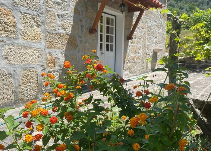 Quinta Da Cavada - Casa Da Tertulia Çiftlik konaklama Vouzela