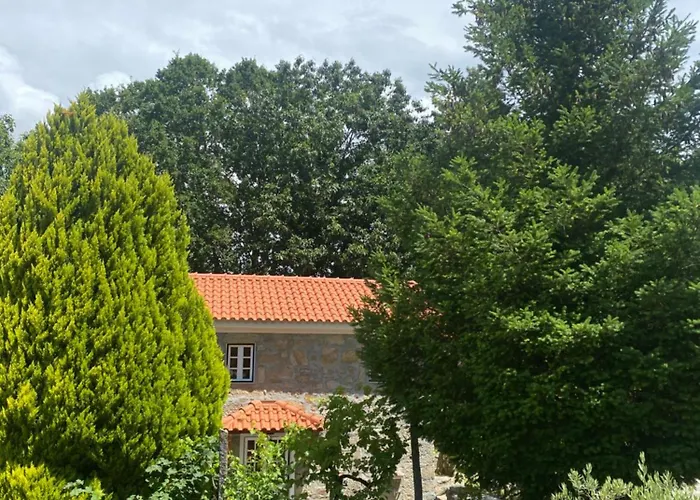Quinta Da Cavada - Casa Da Tertulia Çiftlik konaklama Vouzela